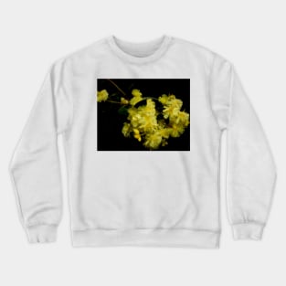 Rainy Wattle Crewneck Sweatshirt